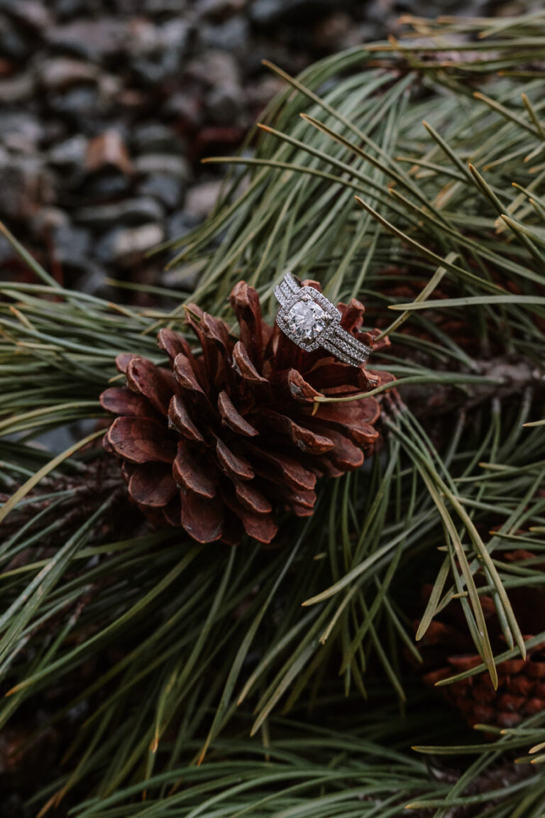 Propuesta de Matrimonio de lujo en Bariloche