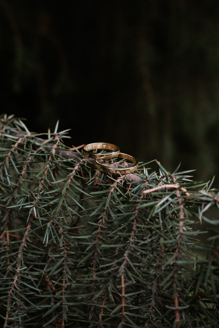 Fotógrafo de bodas en Bariloche y la Patagonia